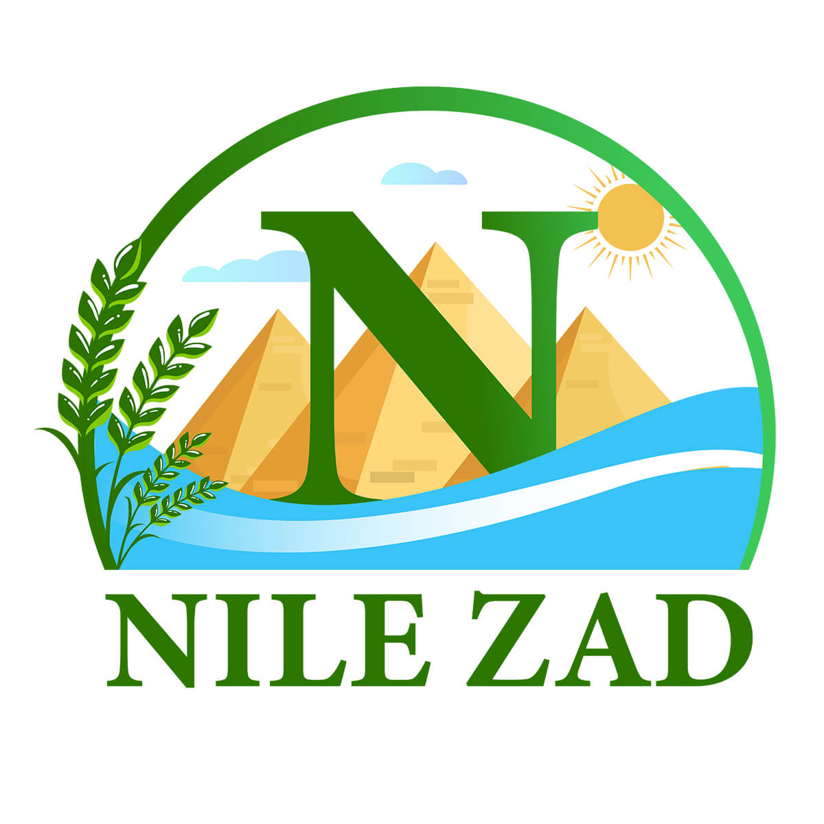 Grilled Green Olives